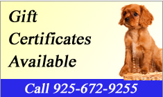 Purchase a Gift Certificate
